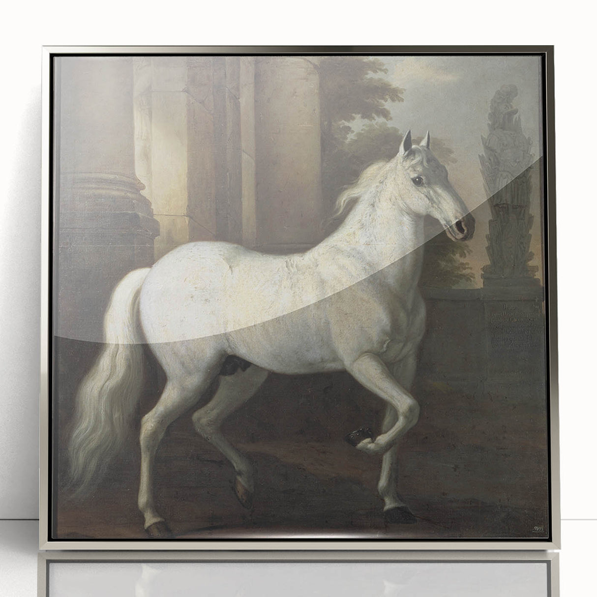 Vintage Animal Art - Classic White Horse Antique Wildlife Prints
