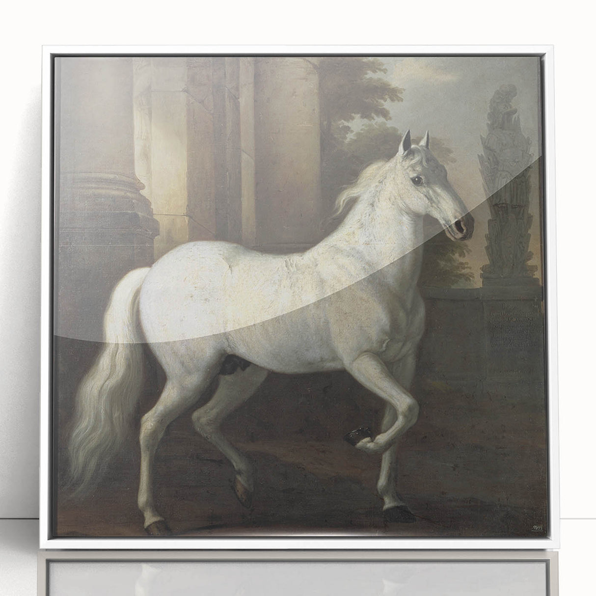 Vintage Animal Art - Classic White Horse Antique Wildlife Prints