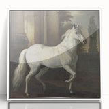 Vintage Animal Art - Classic White Horse Antique Wildlife Prints