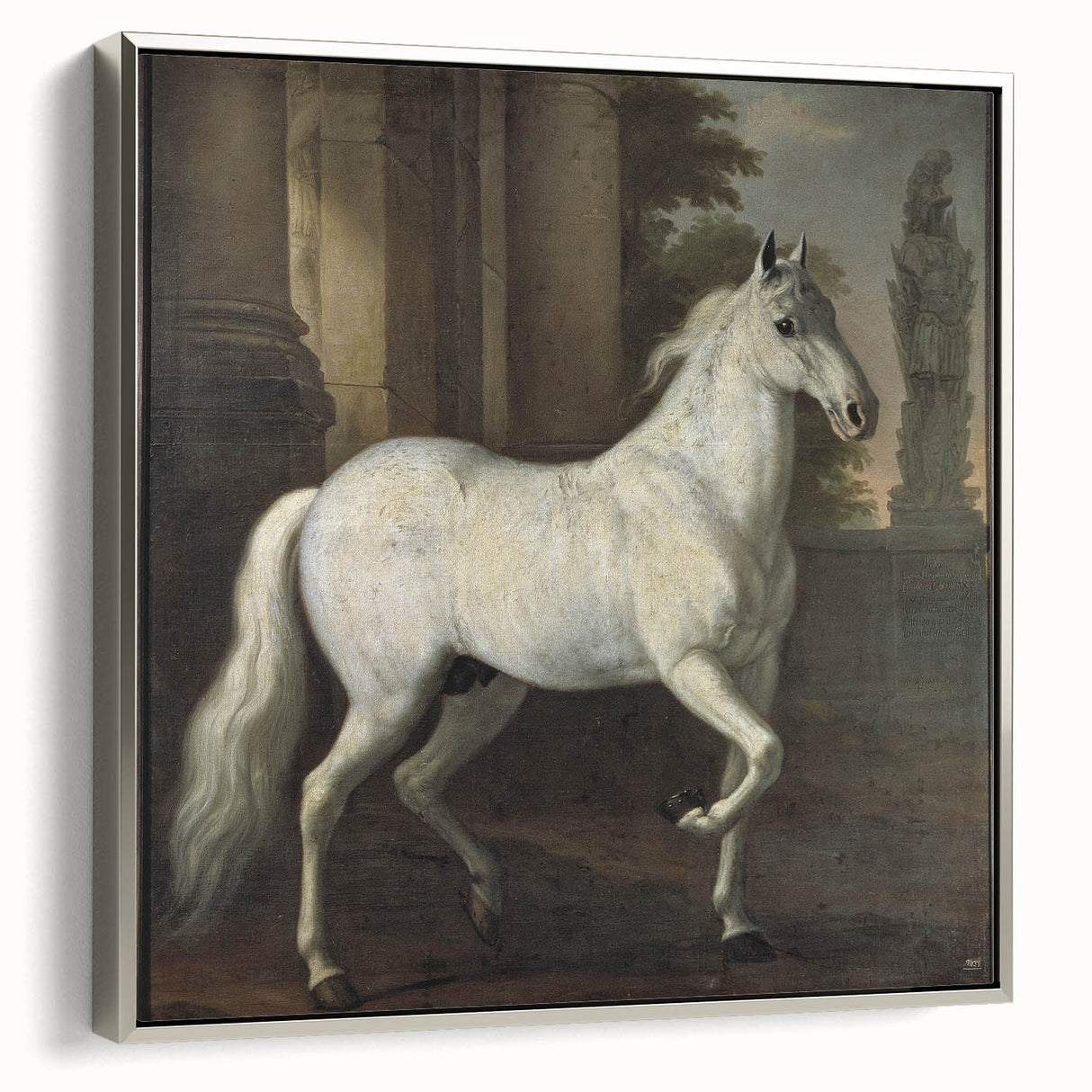 Vintage Animal Art - Classic White Horse Antique Wildlife Prints