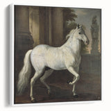 Vintage Animal Art - Classic White Horse Antique Wildlife Prints