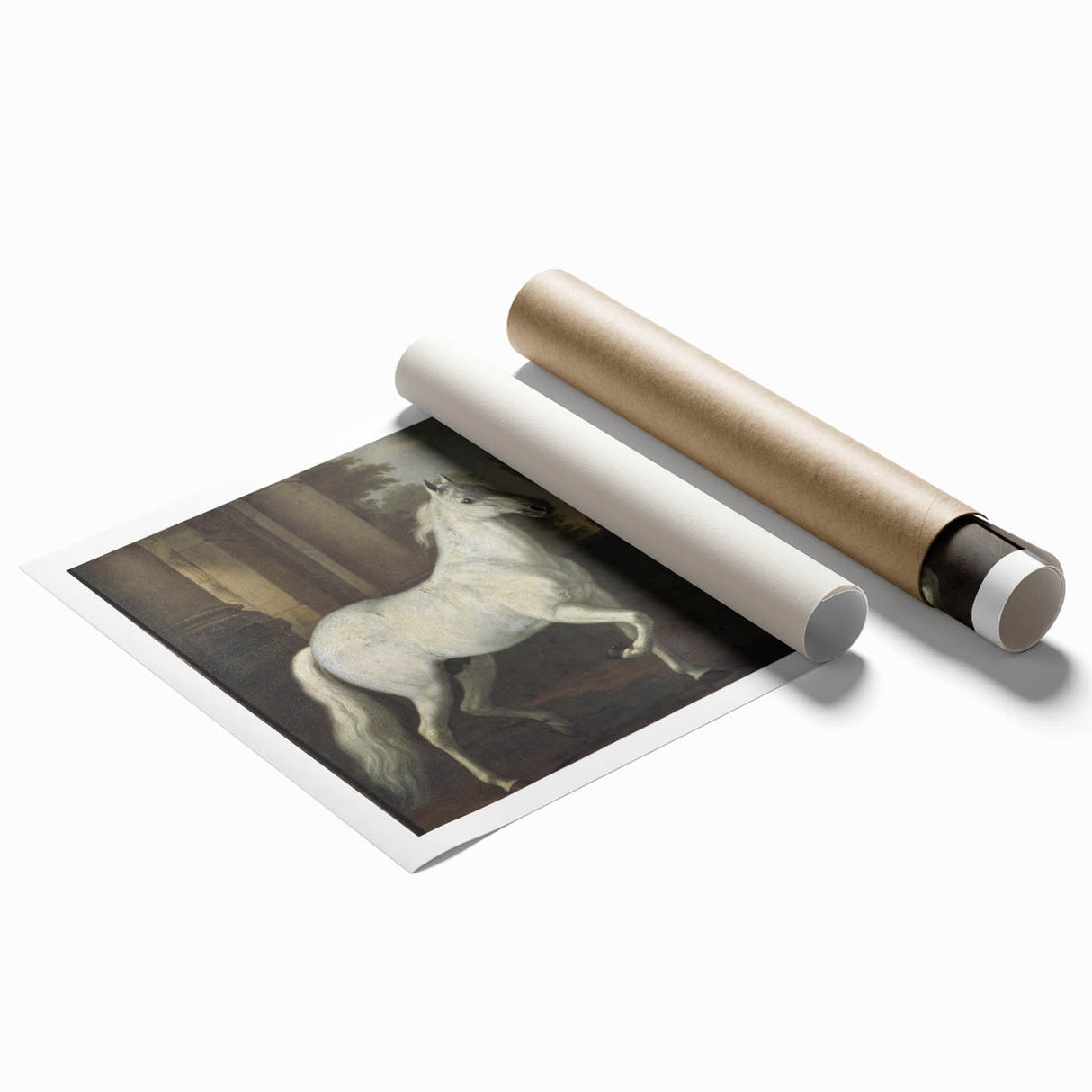 Vintage Animal Art - Classic White Horse Antique Wildlife Prints
