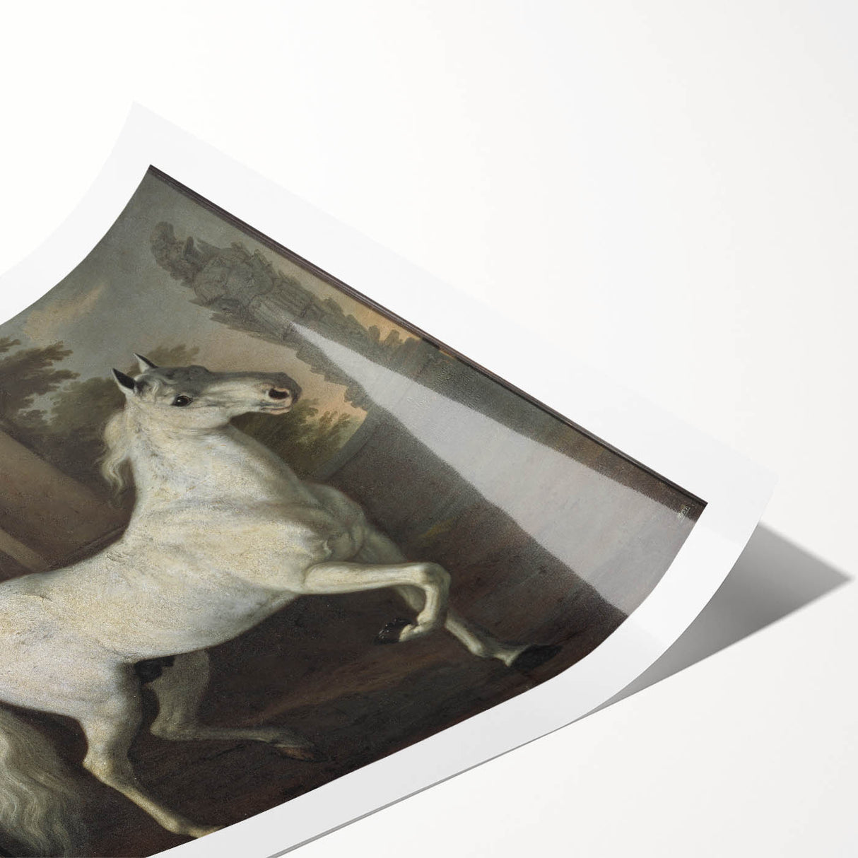 Vintage Animal Art - Classic White Horse Antique Wildlife Prints