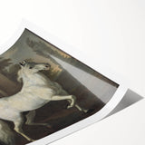 Vintage Animal Art - Classic White Horse Antique Wildlife Prints