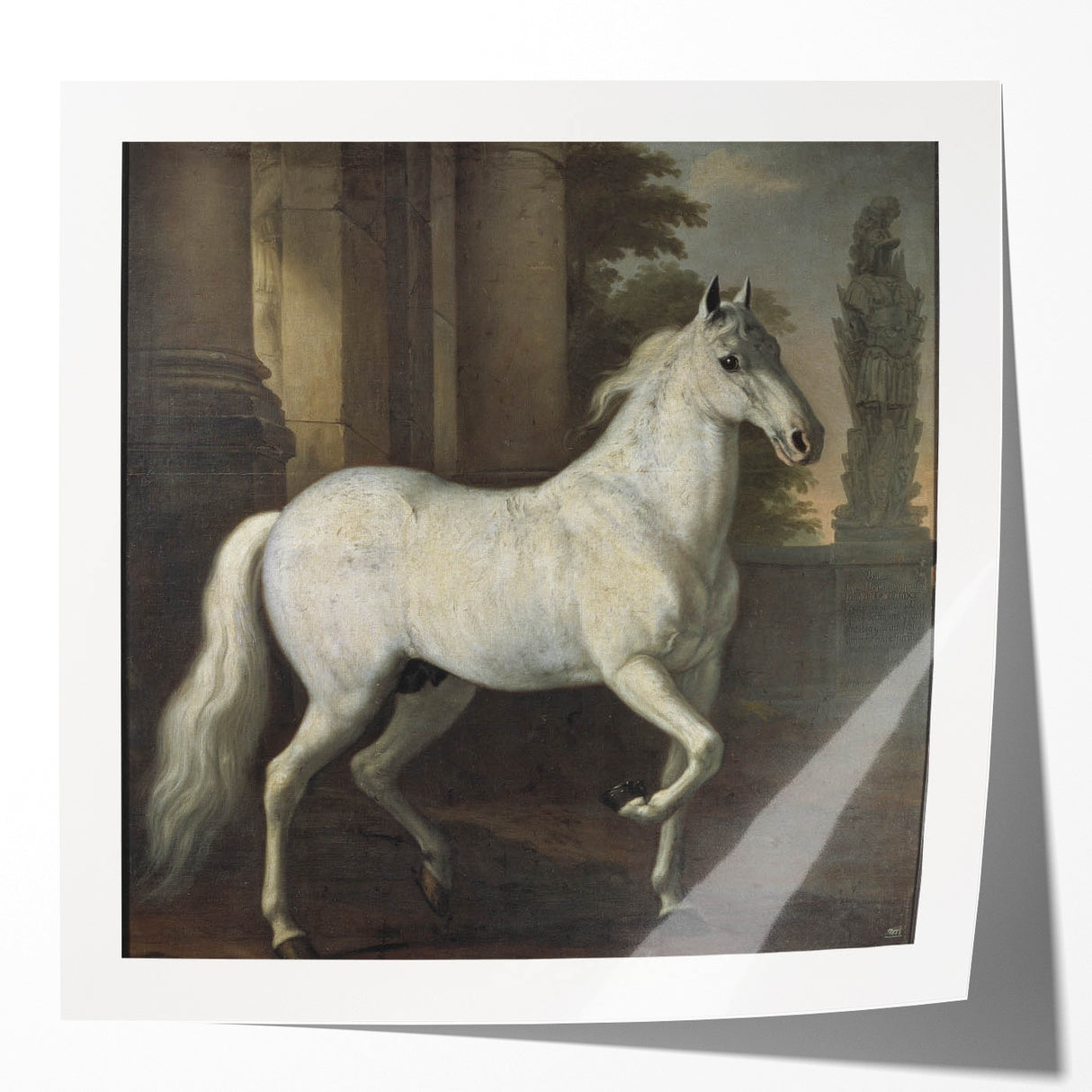 Vintage Animal Art - Classic White Horse Antique Wildlife Prints
