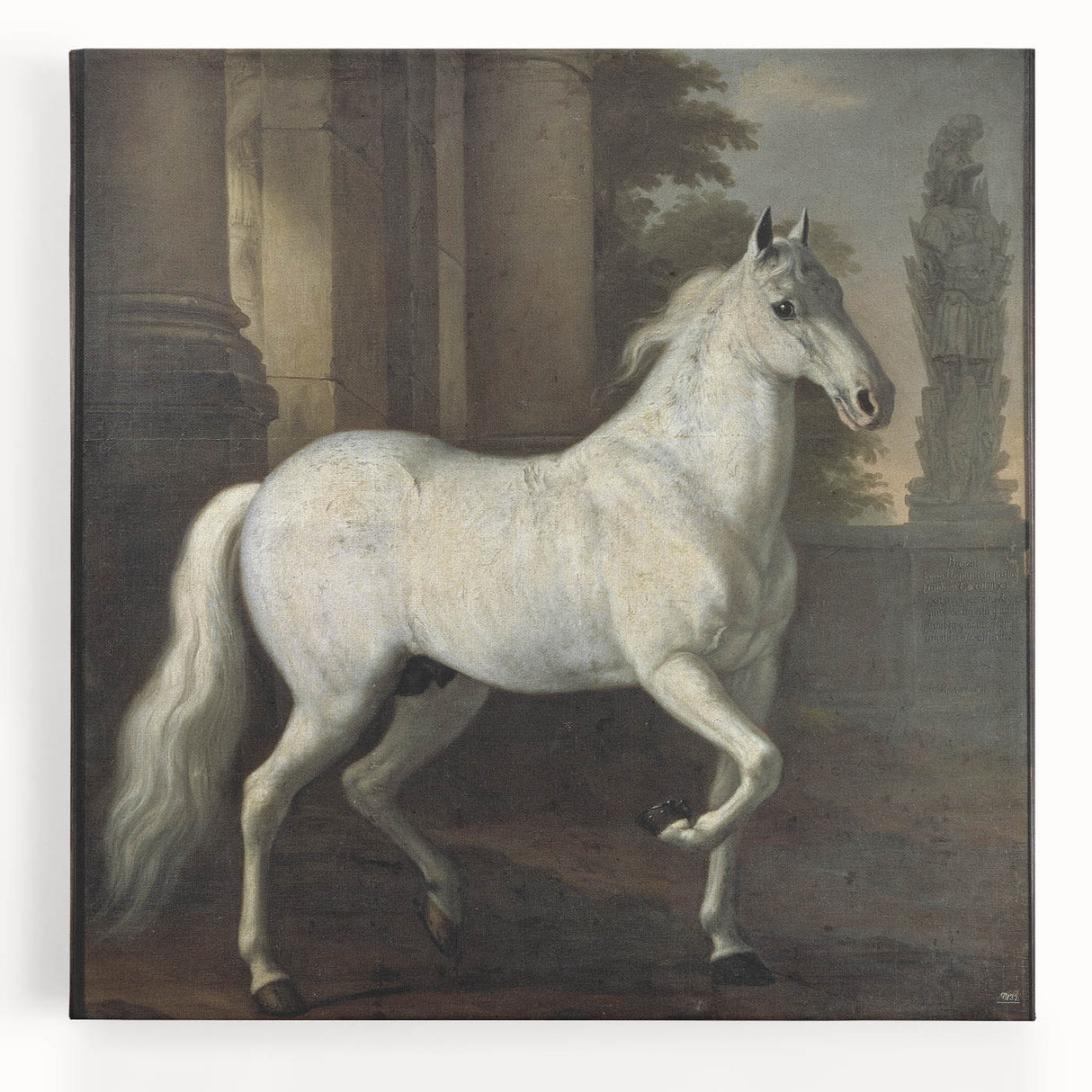 Vintage Animal Art - Classic White Horse Antique Wildlife Prints