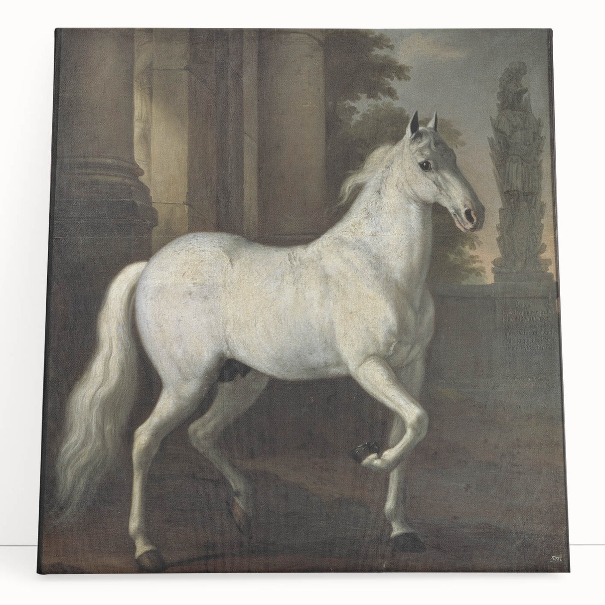 Vintage Animal Art - Classic White Horse Antique Wildlife Prints