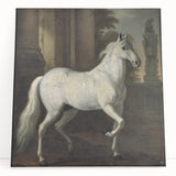 Vintage Animal Art - Classic White Horse Antique Wildlife Prints