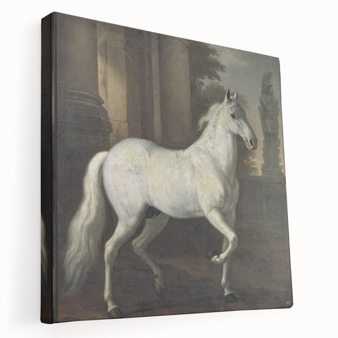 Vintage Animal Art - Classic White Horse Antique Wildlife Prints