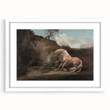 Vintage Animal Art - Horse & Lion Antique Wildlife Print