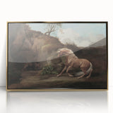 Vintage Animal Art - Horse & Lion Antique Wildlife Print
