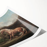 Vintage Animal Art - Horse & Lion Antique Wildlife Print