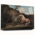Vintage Animal Art - Horse & Lion Antique Wildlife Print