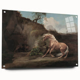 Vintage Animal Art - Horse & Lion Antique Wildlife Print