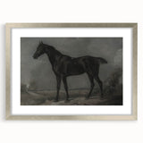 Vintage Animal Art - Majestic Black Horse Antique Wildlife Print