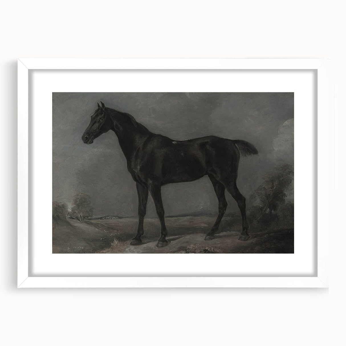 Vintage Animal Art - Majestic Black Horse Antique Wildlife Print