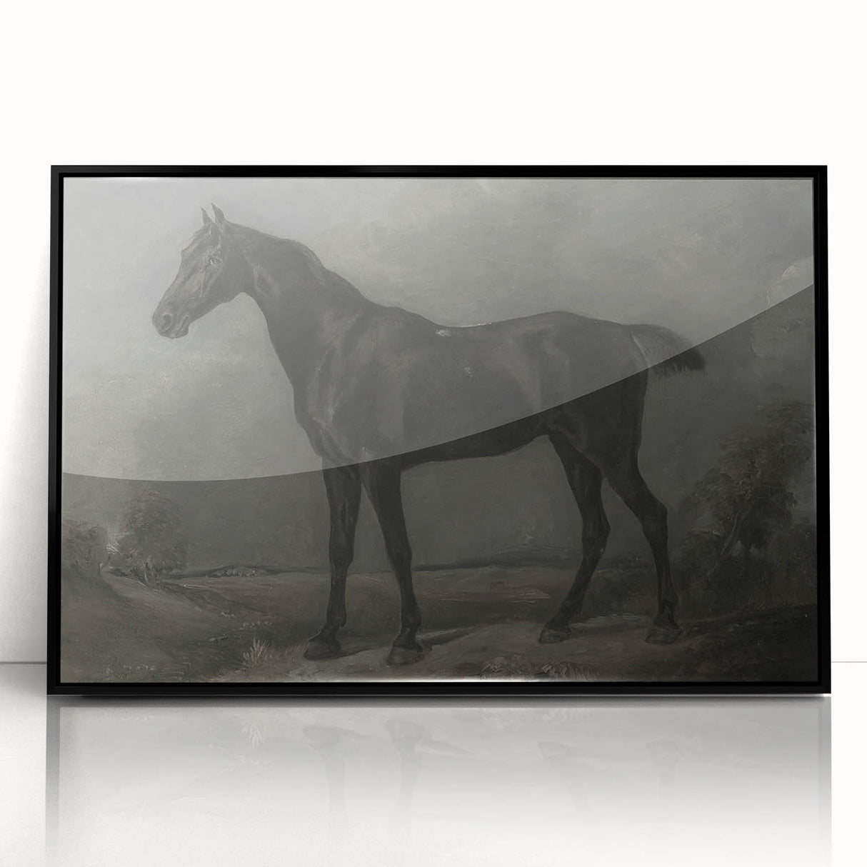 Vintage Animal Art - Majestic Black Horse Antique Wildlife Print