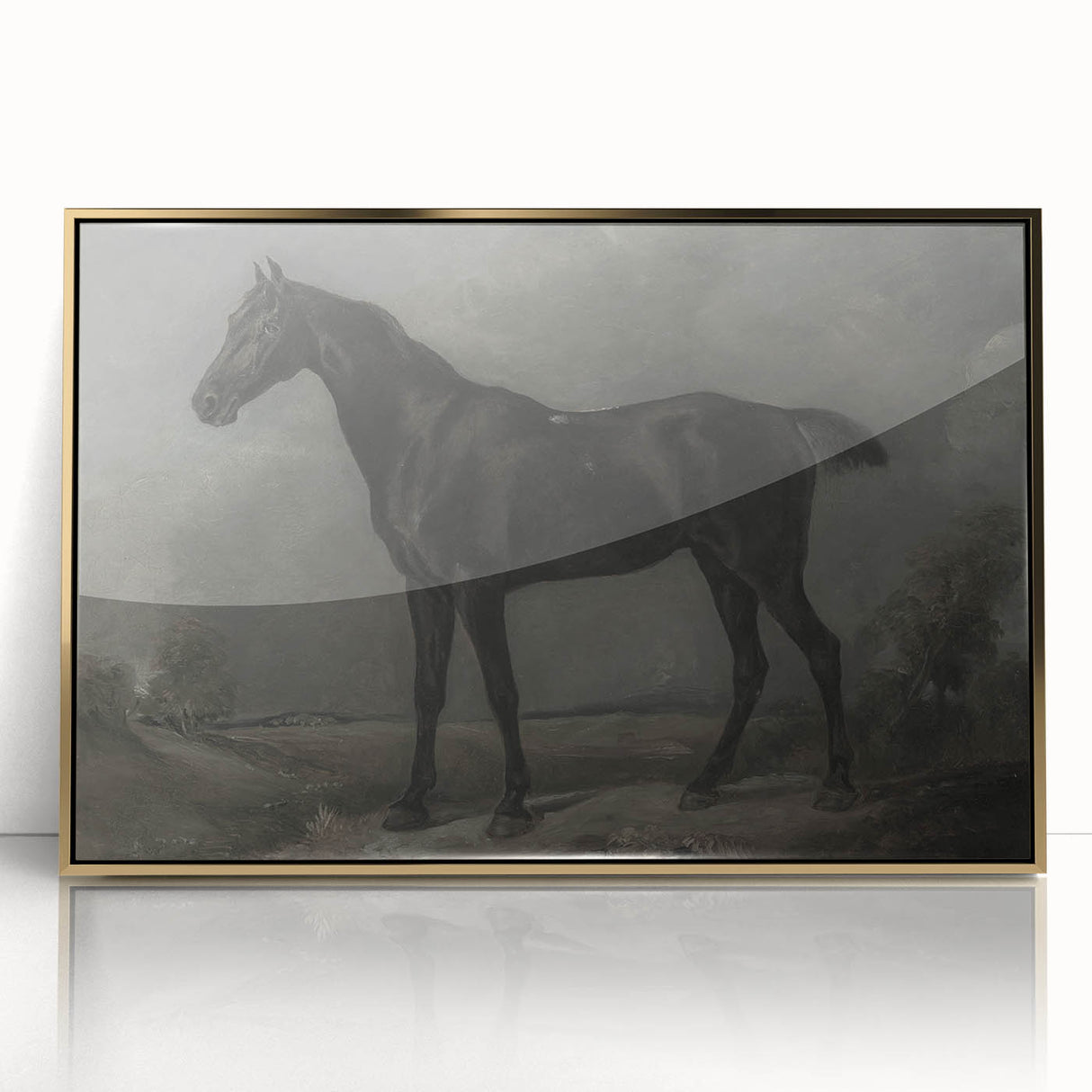 Vintage Animal Art - Majestic Black Horse Antique Wildlife Print