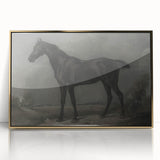 Vintage Animal Art - Majestic Black Horse Antique Wildlife Print