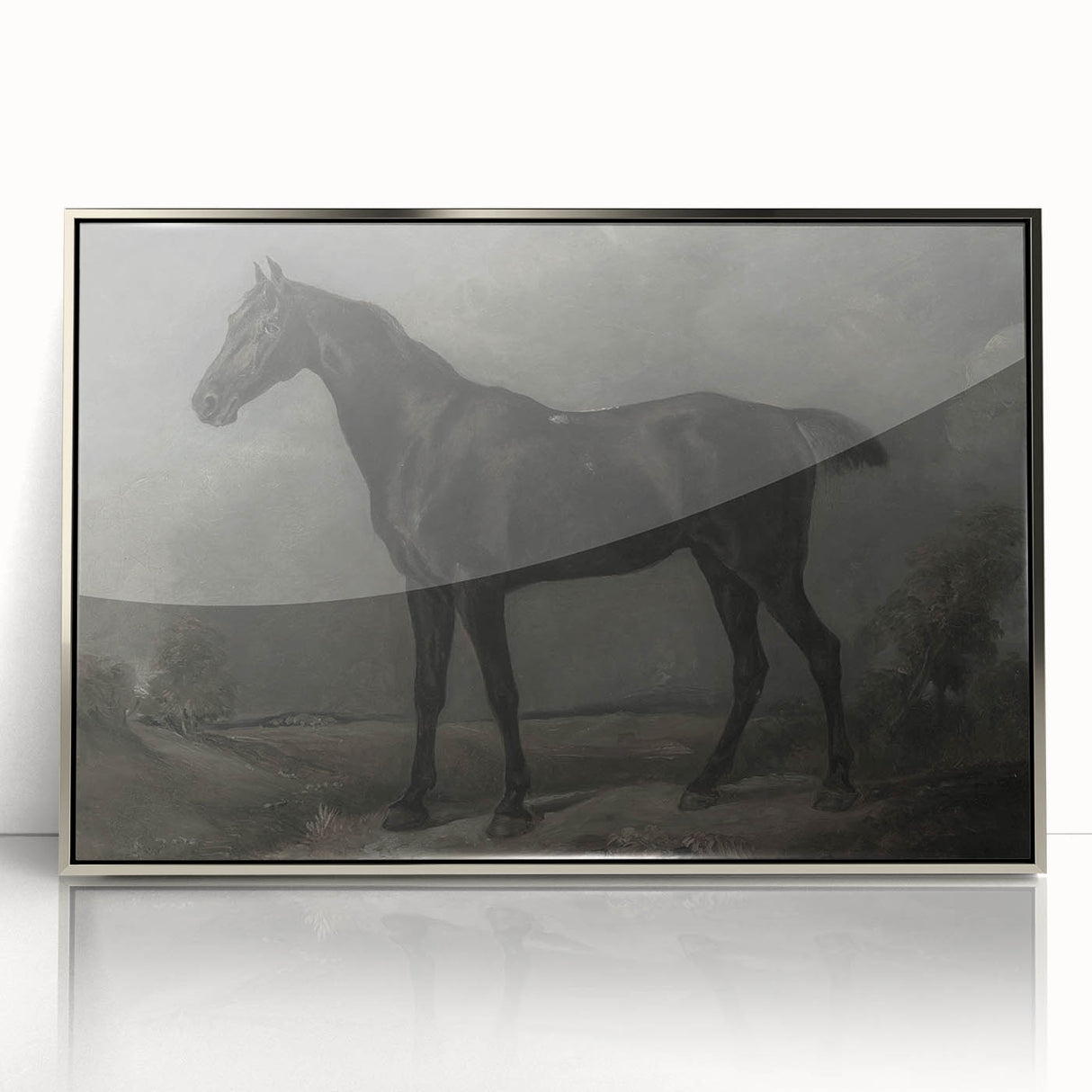 Vintage Animal Art - Majestic Black Horse Antique Wildlife Print
