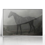 Vintage Animal Art - Majestic Black Horse Antique Wildlife Print