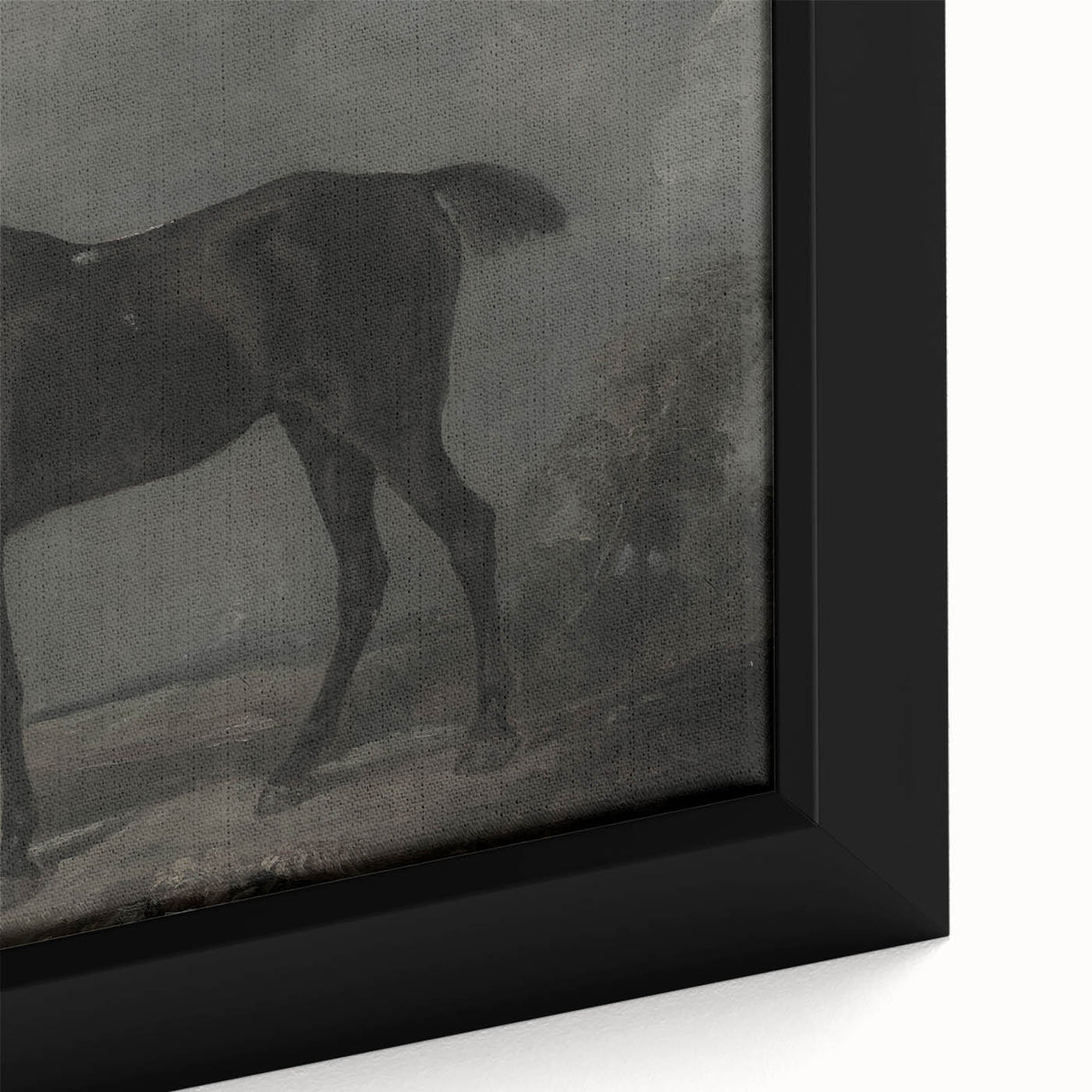 Vintage Animal Art - Majestic Black Horse Antique Wildlife Print