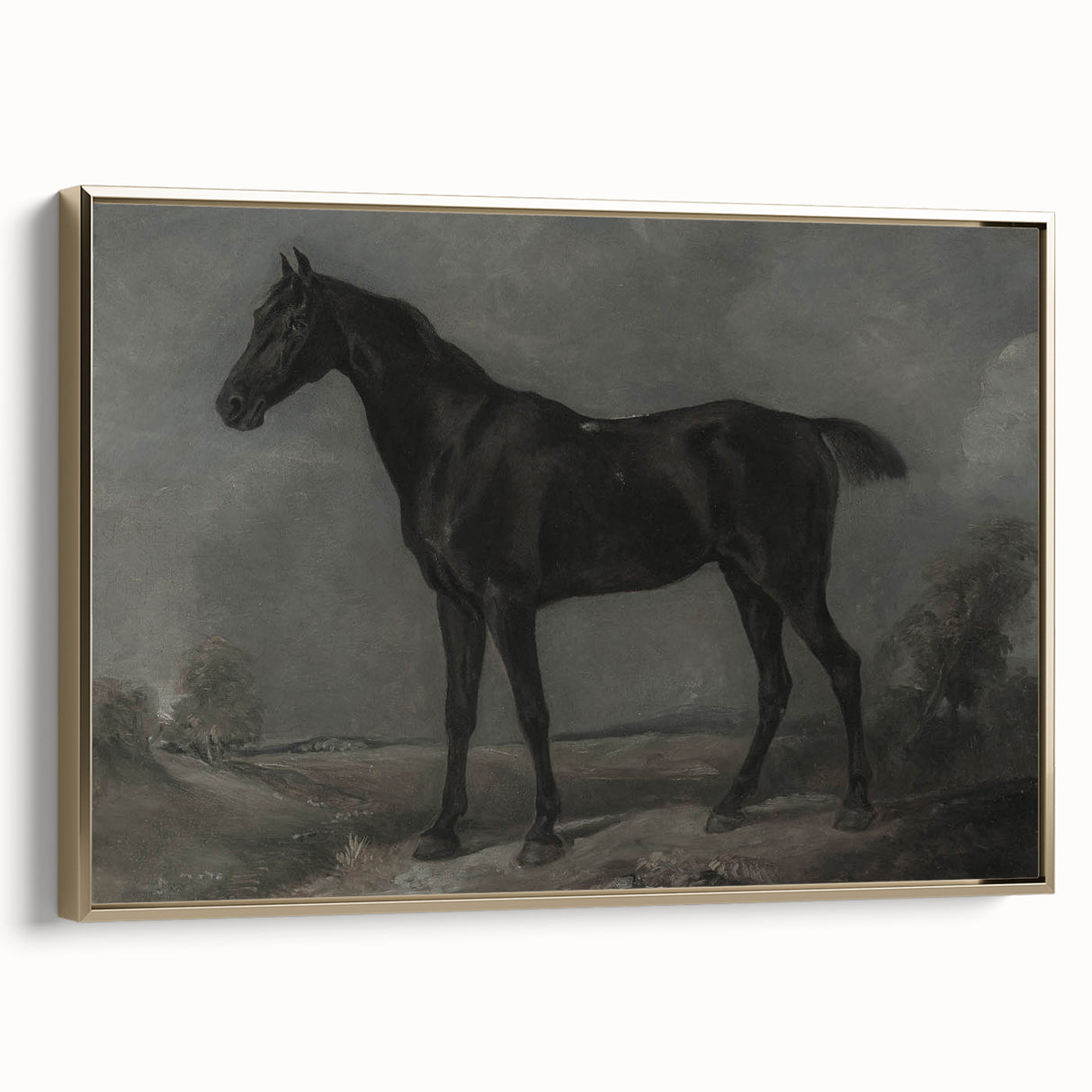 Vintage Animal Art - Majestic Black Horse Antique Wildlife Print