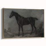 Vintage Animal Art - Majestic Black Horse Antique Wildlife Print