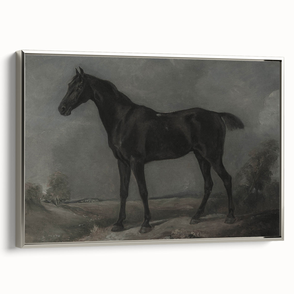 Vintage Animal Art - Majestic Black Horse Antique Wildlife Print