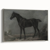 Vintage Animal Art - Majestic Black Horse Antique Wildlife Print