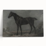 Vintage Animal Art - Majestic Black Horse Antique Wildlife Print