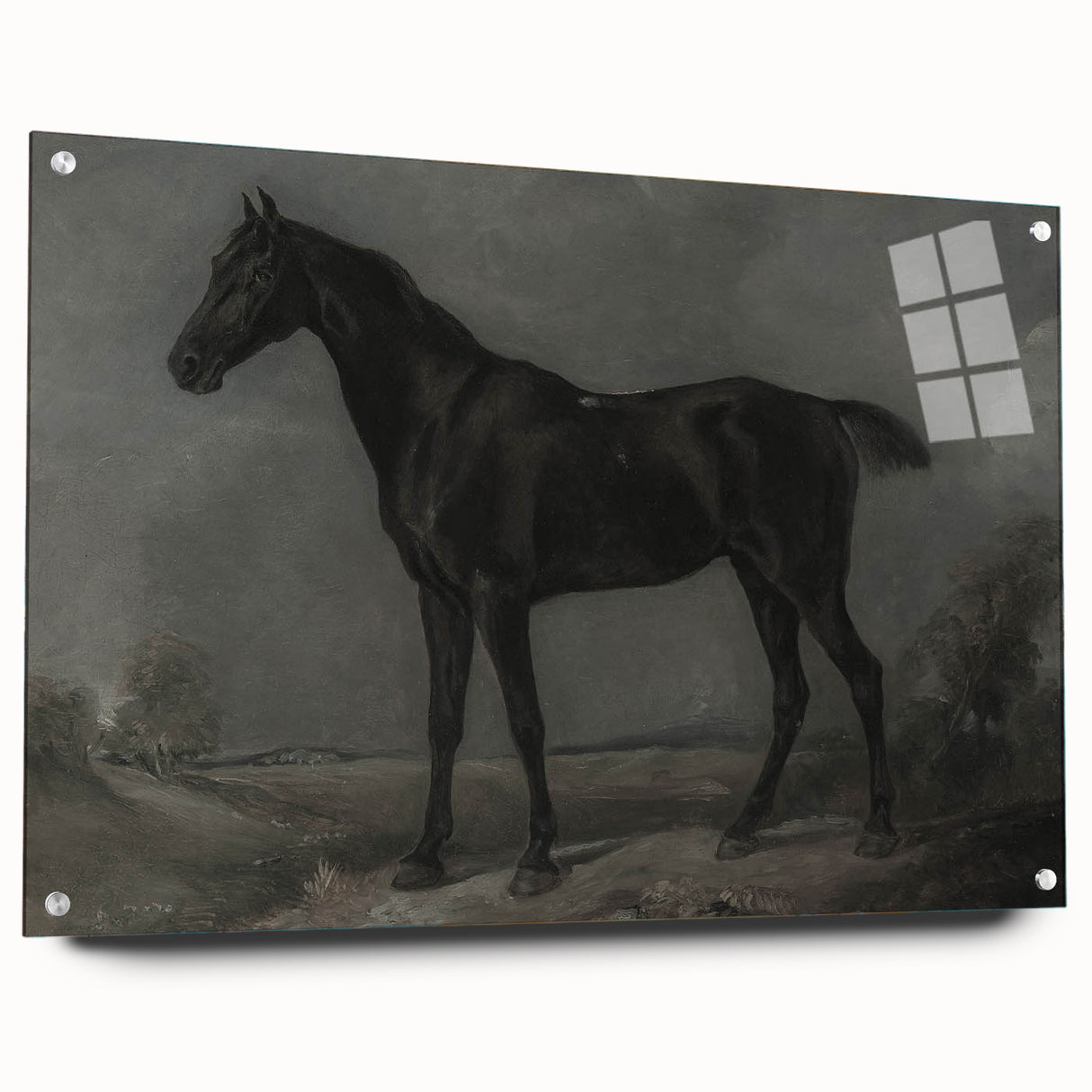 Vintage Animal Art - Majestic Black Horse Antique Wildlife Print