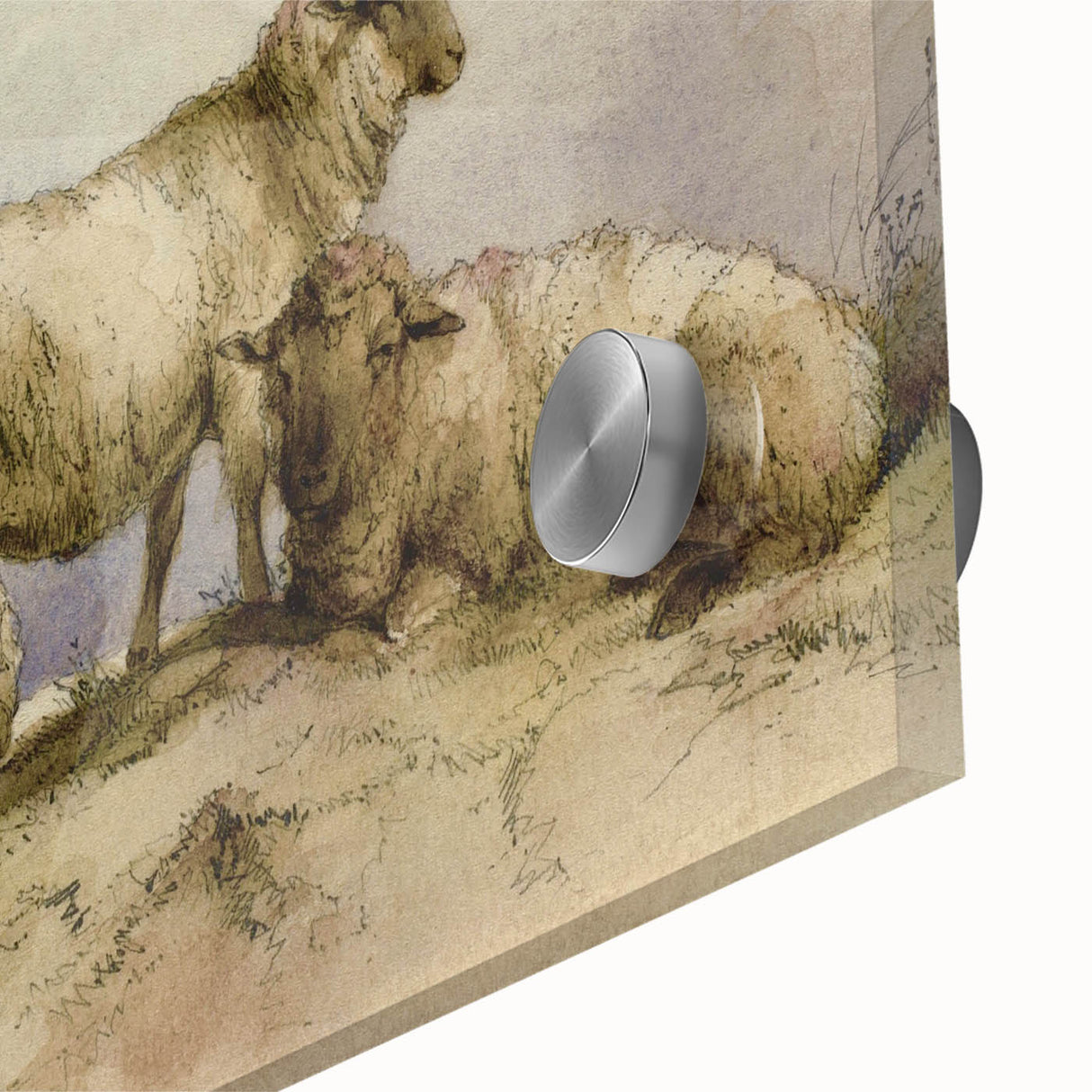 Vintage Animal Art - Sheep in Pastoral Scene Antique Print