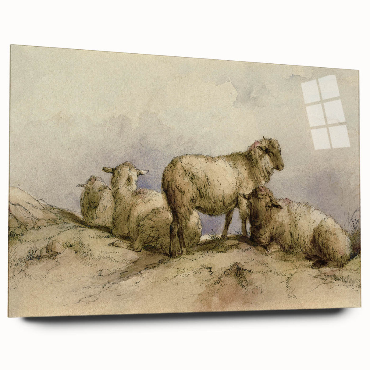 Vintage Animal Art - Sheep in Pastoral Scene Antique Print