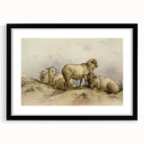 Vintage Animal Art - Sheep in Pastoral Scene Antique Print