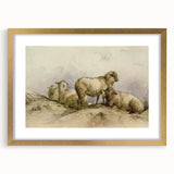 Vintage Animal Art - Sheep in Pastoral Scene Antique Print