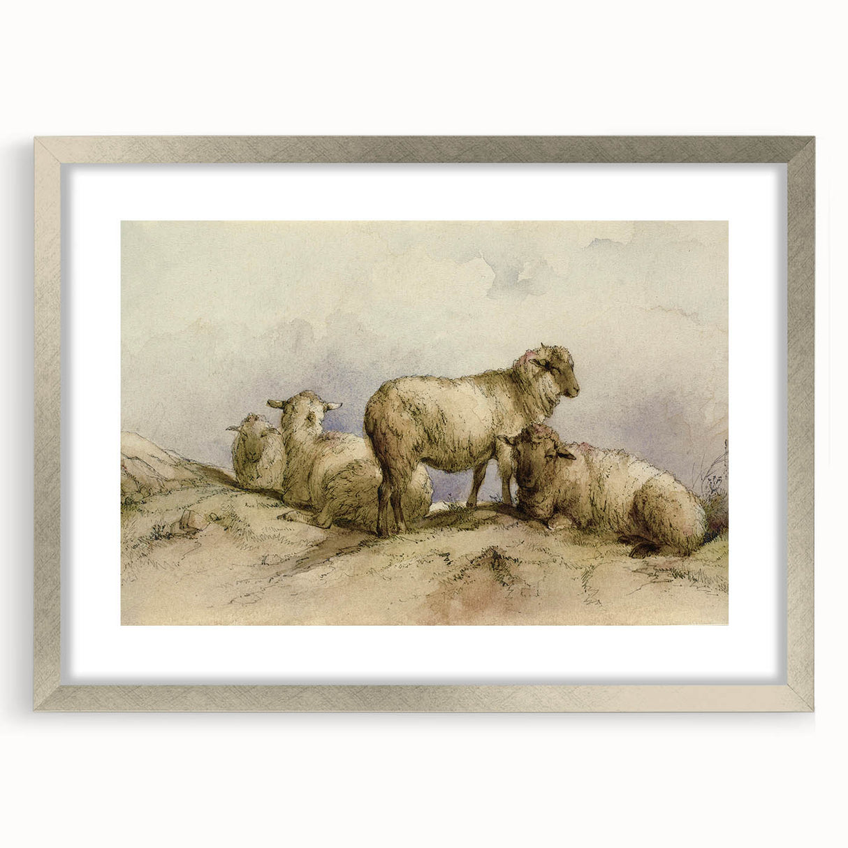 Vintage Animal Art - Sheep in Pastoral Scene Antique Print
