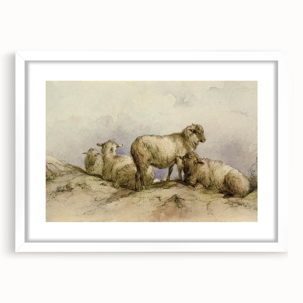 Vintage Animal Art - Sheep in Pastoral Scene Antique Print