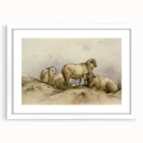 Vintage Animal Art - Sheep in Pastoral Scene Antique Print
