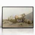 Vintage Animal Art - Sheep in Pastoral Scene Antique Print