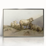 Vintage Animal Art - Sheep in Pastoral Scene Antique Print