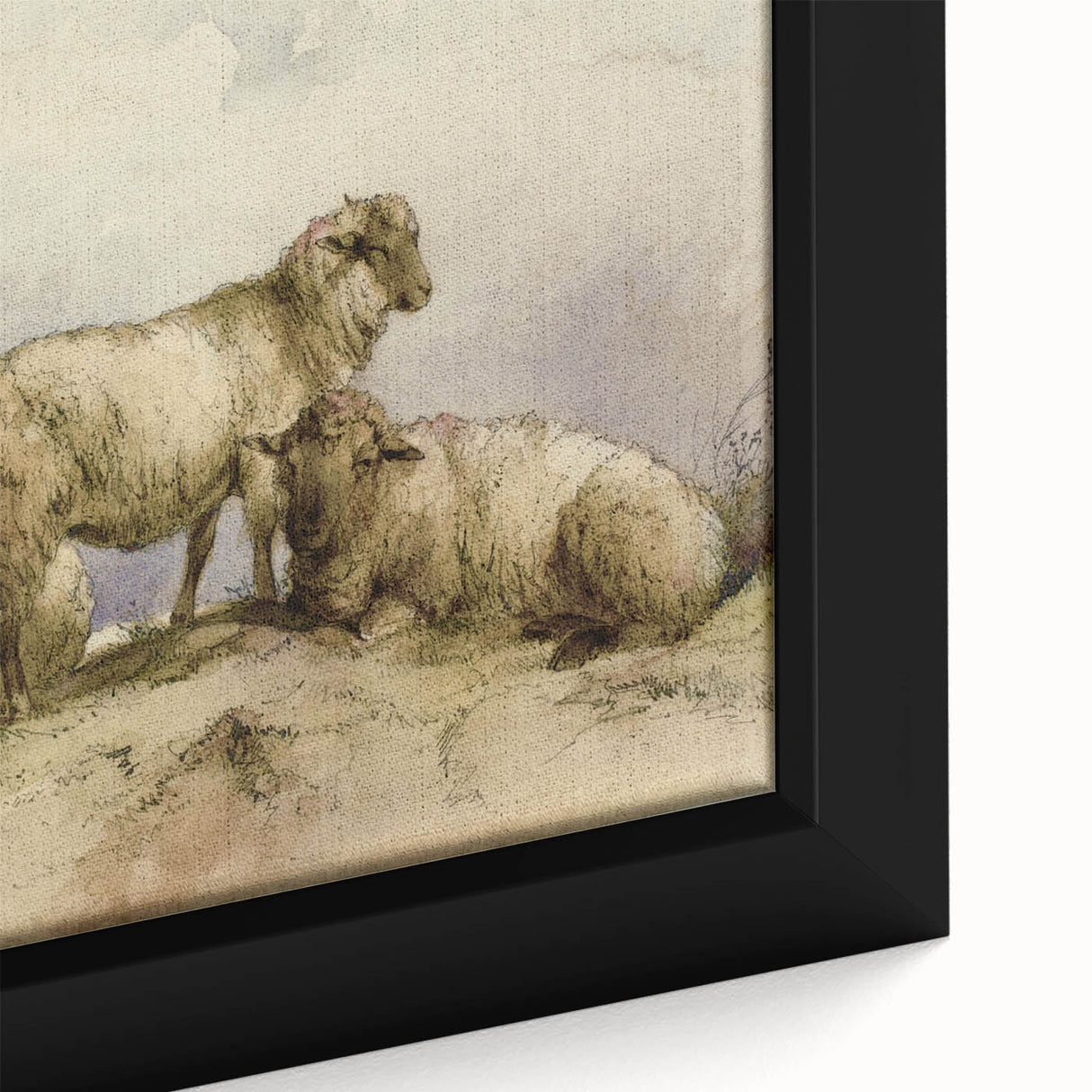 Vintage Animal Art - Sheep in Pastoral Scene Antique Print