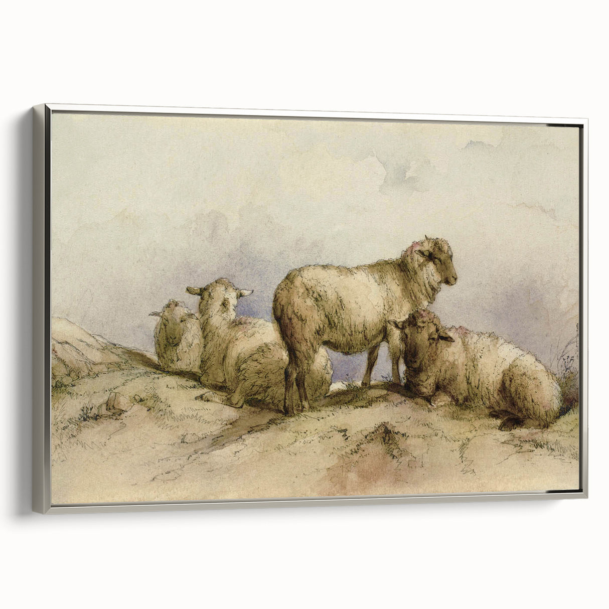 Vintage Animal Art - Sheep in Pastoral Scene Antique Print