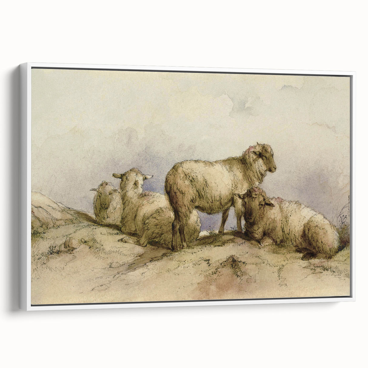 Vintage Animal Art - Sheep in Pastoral Scene Antique Print
