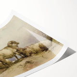 Vintage Animal Art - Sheep in Pastoral Scene Antique Print