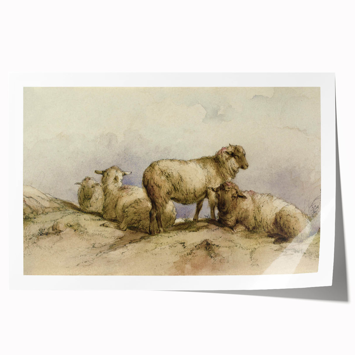 Vintage Animal Art - Sheep in Pastoral Scene Antique Print