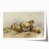 Vintage Animal Art - Sheep in Pastoral Scene Antique Print