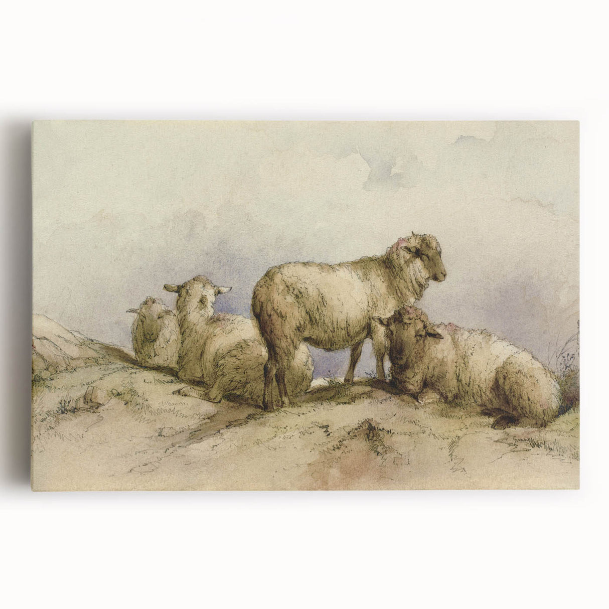 Vintage Animal Art - Sheep in Pastoral Scene Antique Print