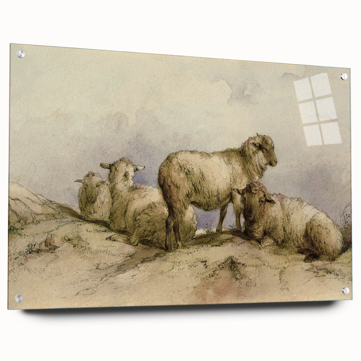 Vintage Animal Art - Sheep in Pastoral Scene Antique Print