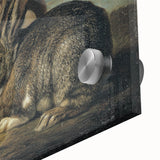 Vintage Animal Art - White & Brown Rabbits Antique Wildlife Print